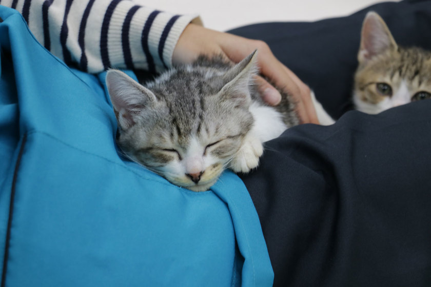 キャンパスライフPhoto