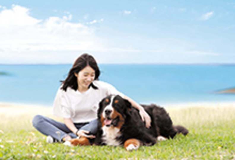 沖縄ペットワールド専門学校の風景