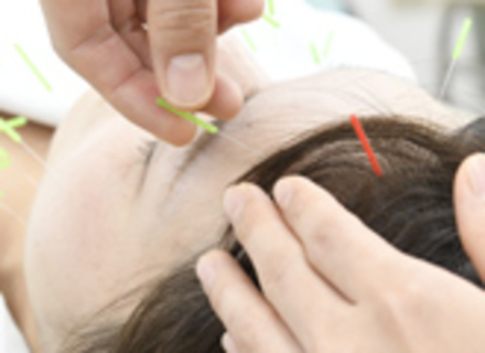 お茶の水はりきゅう専門学校の特長１