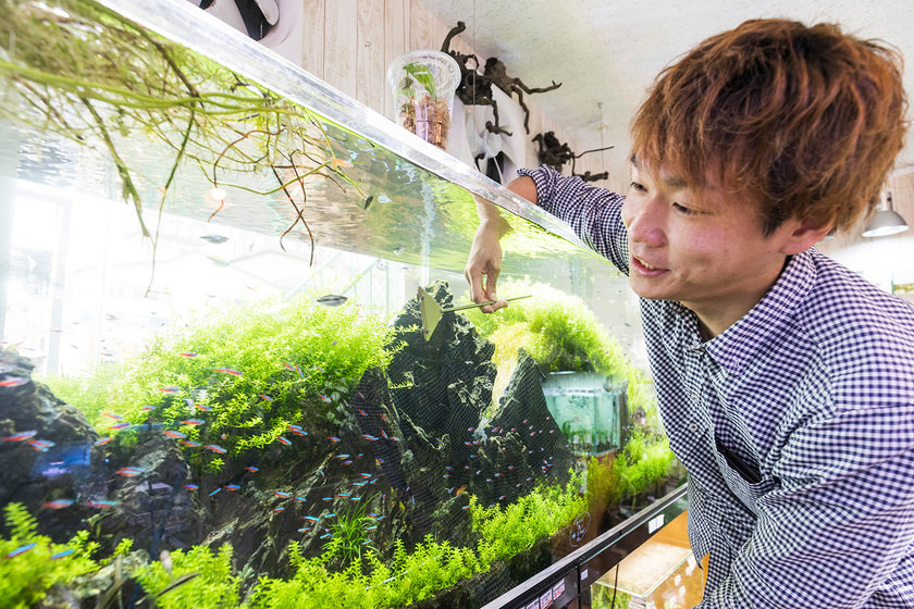 大阪ＥＣＯ動物海洋専門学校の卒業生