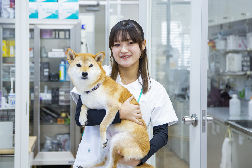 北海道エコ・動物自然専門学校の学生