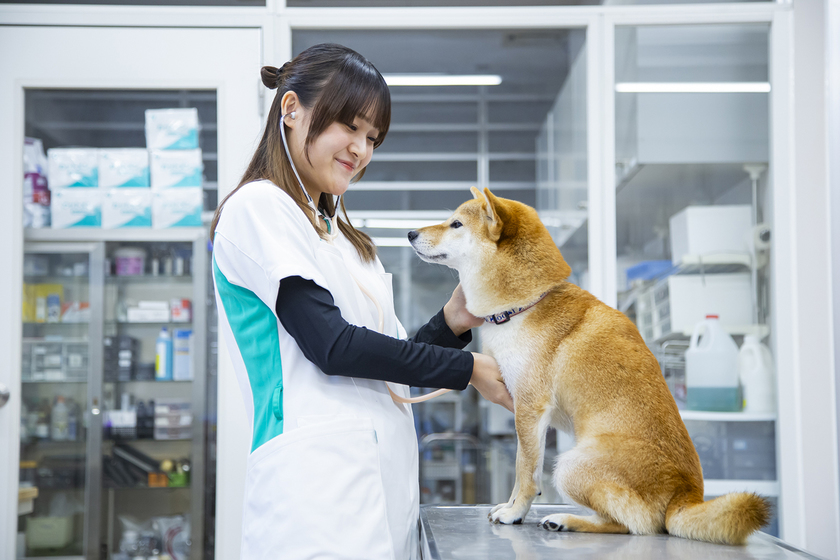 キャンパスライフPhoto