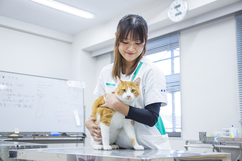 キャンパスライフPhoto