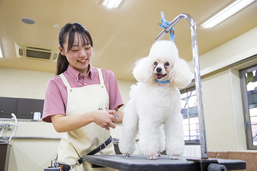 キャンパスライフPhoto