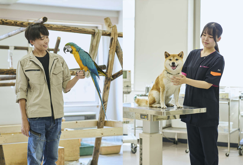 北海道エコ・動物自然専門学校の風景