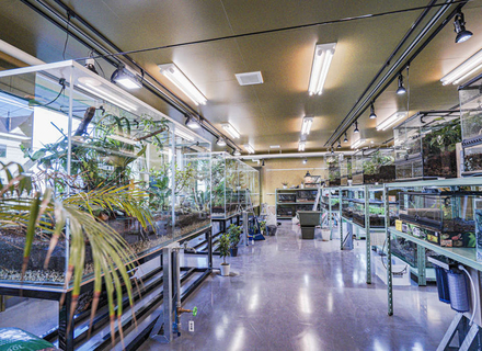 北海道エコ・動物自然専門学校の特長３