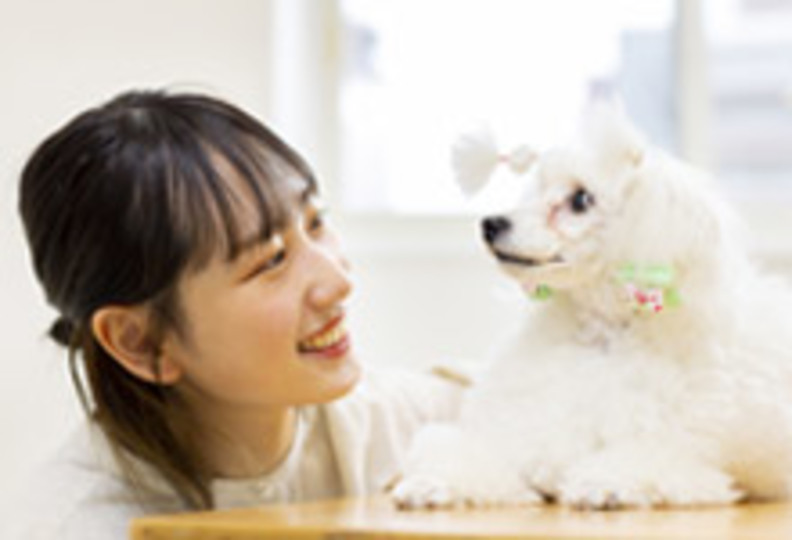 愛犬美容看護専門学校の風景