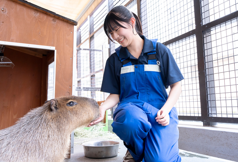 仙台ＥＣＯ動物海洋専門学校の風景
