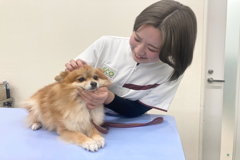 キャンパスライフPhoto