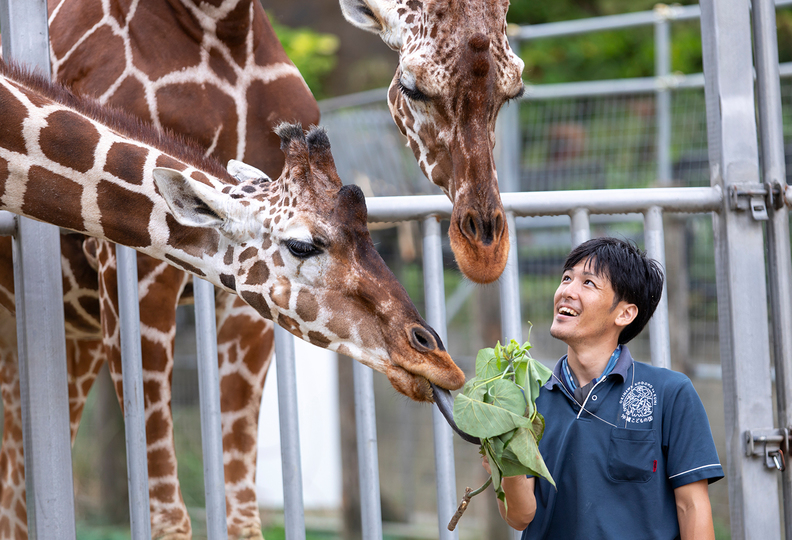 福岡ＥＣＯ動物海洋専門学校の風景