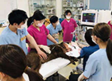 名古屋ＥＣＯ動物海洋専門学校の特長２