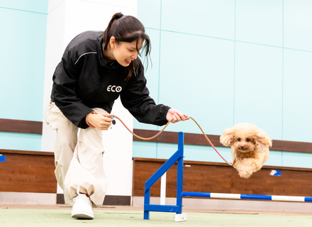 名古屋ＥＣＯ動物海洋専門学校の特長３