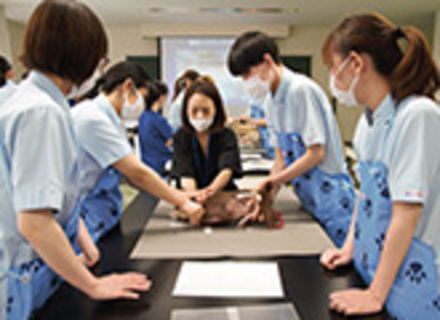 ヤマザキ動物看護専門職短期大学の特長２