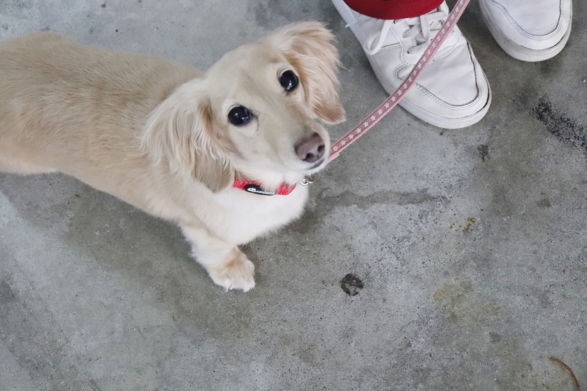 キャンパスライフPhoto