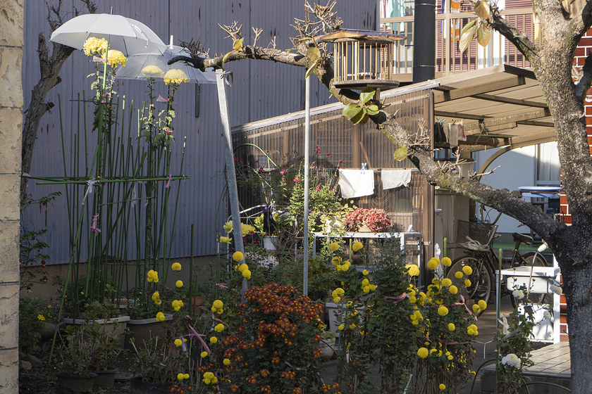 キャンパスライフPhoto