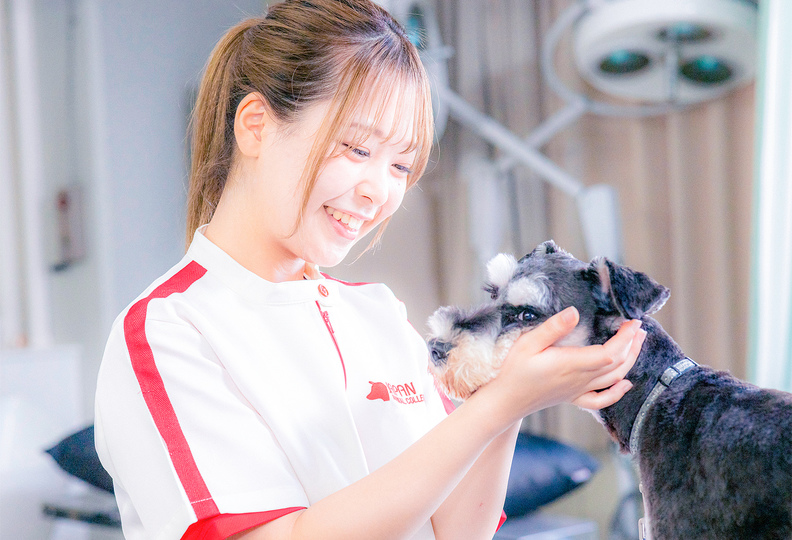 横浜動物専門学校の風景