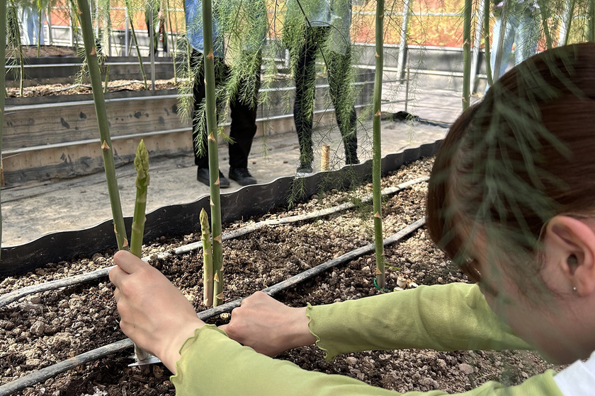 キャンパスライフPhoto