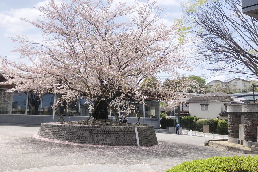 キャンパスライフPhoto