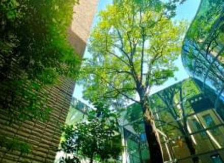 大阪医療大学の特長３