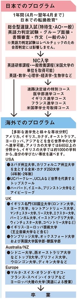 留学までのプロセス