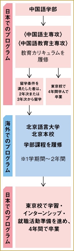 留学までのプロセス