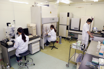 崇城大学 高い清浄環境下のクリーンルームで細胞実験などが行われます。細胞培養はさらに清浄度の高いクリーンベンチ内で実施します