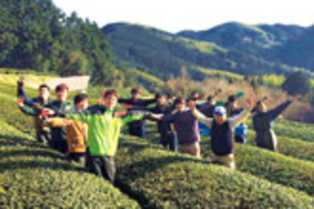 久留米大学 文化経済学科では、環境、観光、地域貢献、文化産業を深く学べます