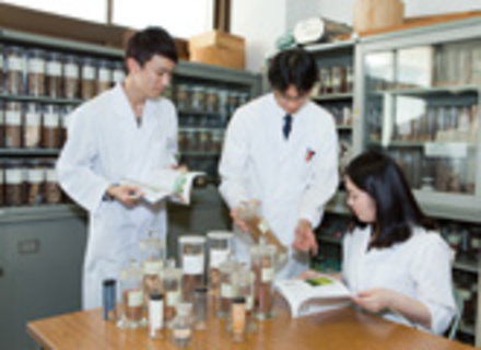 第一薬科大学の特長１