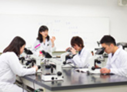 長崎国際大学の特長１