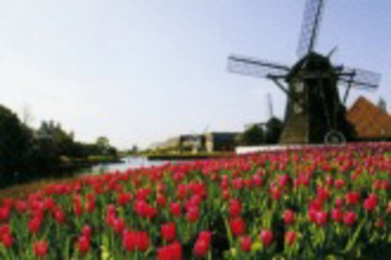 長崎国際大学 多くの学生がアルバイトやインターンシップを経験する第二のキャンパス「ハウステンボス」