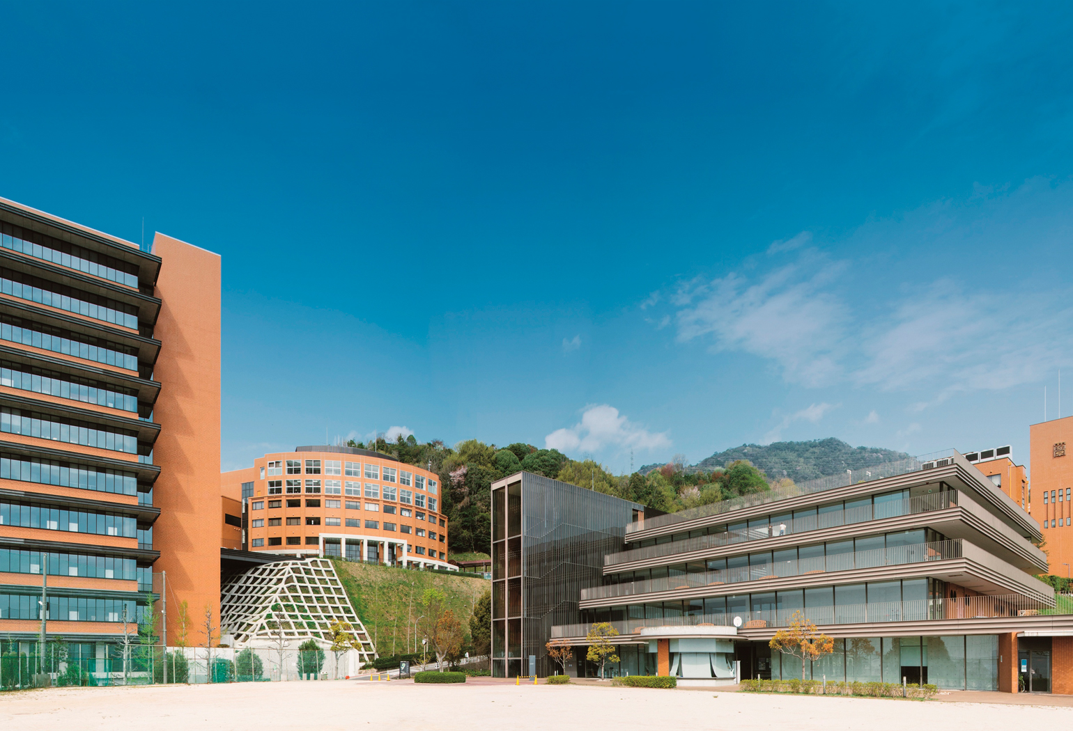 修道 大学 偏差 値