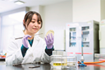 広島国際大学 IPE（多職種連携教育）で他学科の学生たちとも協力し合うことができます。技術に加え心でもつながれる臨床検査技師をめざします