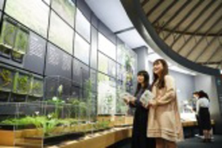 追手門学院大学 ［社会学専攻］フィールドワークを積極的に実施。実地で学ぶことから、社会や文化を学術的に理解する力を育みます。