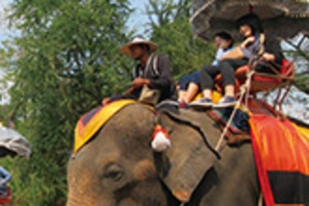 関西国際大学 1年次からレベル別、段階的に語学を養う。異文化交流やネイティブの先生との対話で着実に語学力を磨き長期海外留学も目指せる。