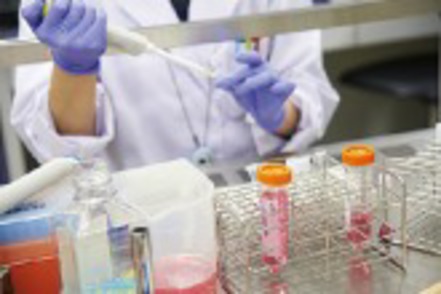 大阪大谷大学 実験研究棟の2～4階に実習室を備え、それぞれの専門領域の実験研究を行います