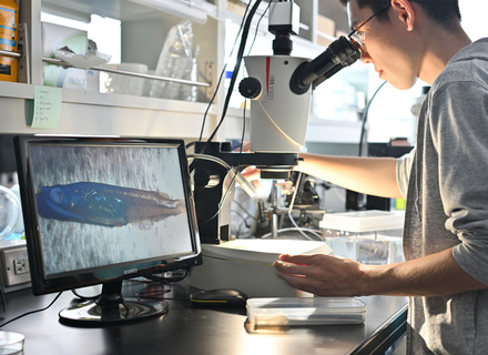 長浜バイオ大学の特長３