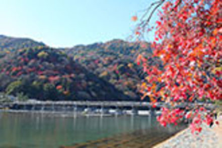 嵯峨美術大学 ▲京都の中でも景勝地としてひときわ名高い嵐山は、キャンパスのすぐ近く。