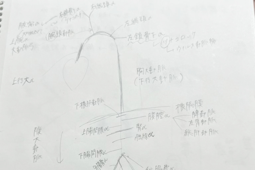 キャンパスライフPhoto