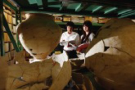 愛知学院大学 考古学基礎実習では夏休みに発掘調査を実施。五感で学ぶ発掘調査を体験できるのが特長！