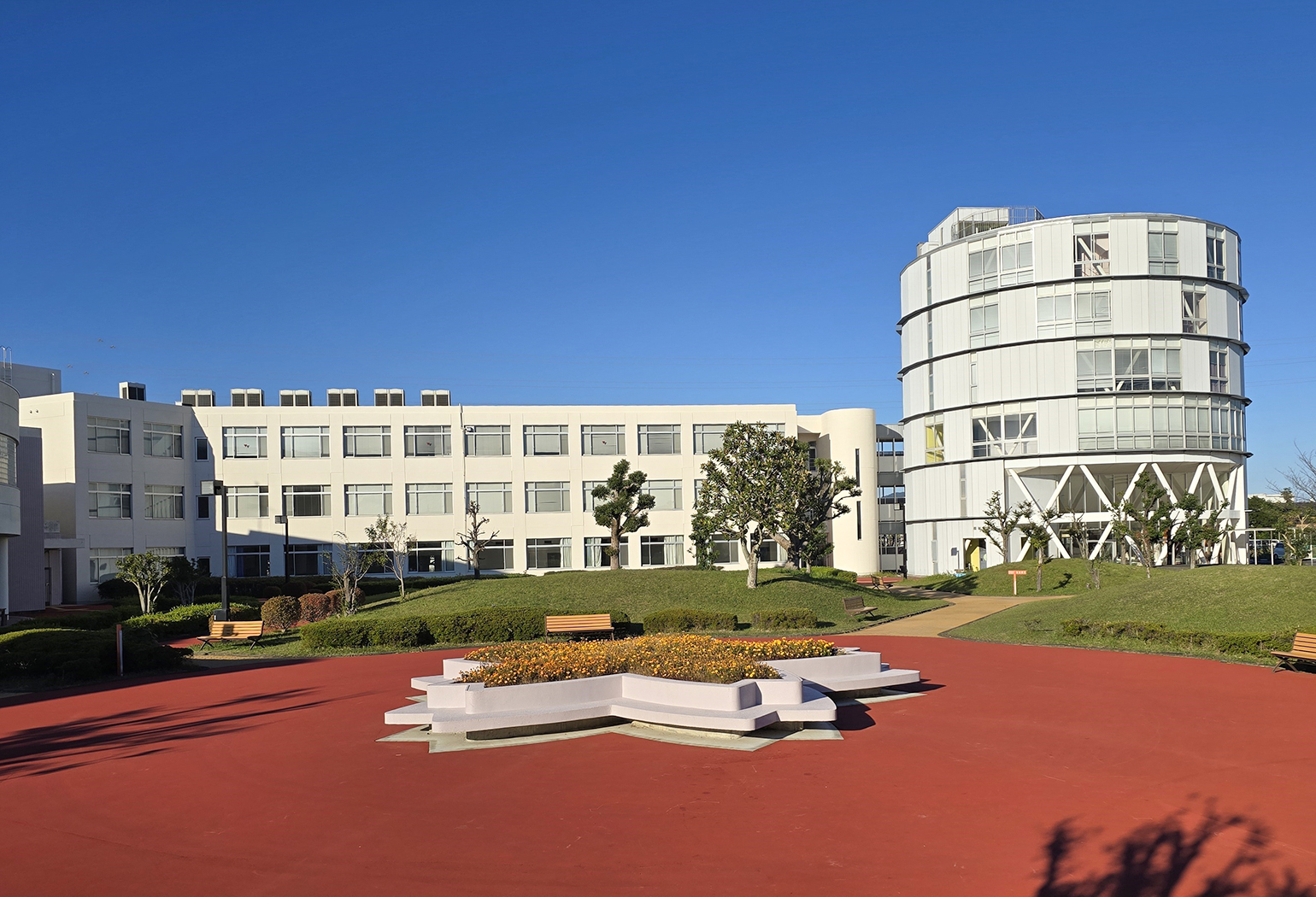 静岡 英和 学院 大学