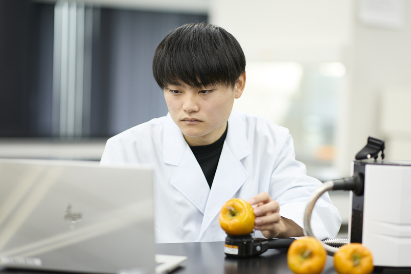 キャンパスライフPhoto