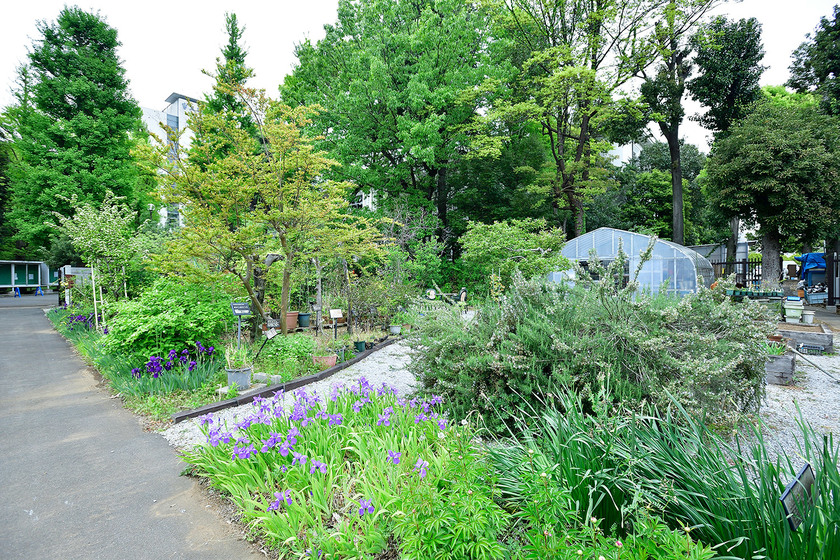 キャンパスライフPhoto