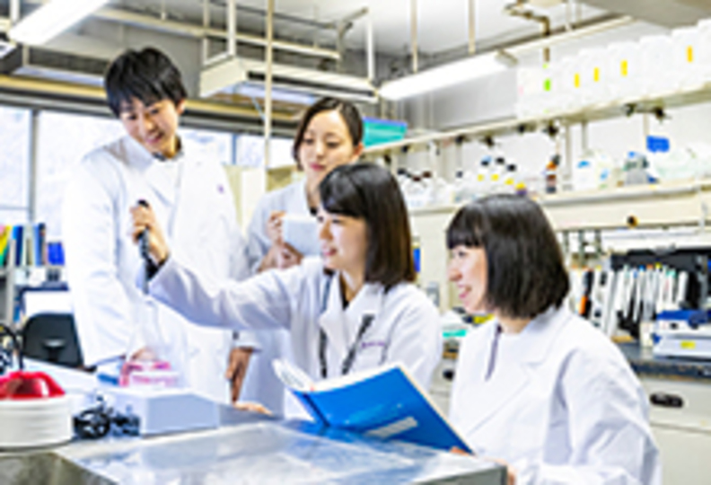 東京薬科大学の風景