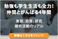勉強も学生生活も全力！仲間とがんばる4年間（詳細はこちらをクリック）