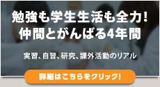 勉強も学生生活も全力！仲間とがんばる4年間（詳細はこちらをクリック）