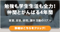 勉強も学生生活も全力！仲間とがんばる4年間（詳細はこちらをクリック）