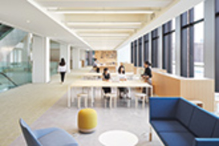 武庫川大学 「Shared Studios」をコンセプトとする経営学部の校舎。吹き抜けと仕切りのなさで大きなワンルームのような構造