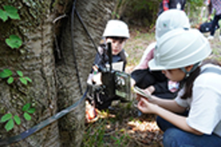 武庫川大学 本学施設である丹嶺学苑研修センターや名塩野外活動センターなどを活用し、豊富な自然環境の中でフィールドワークを実施します