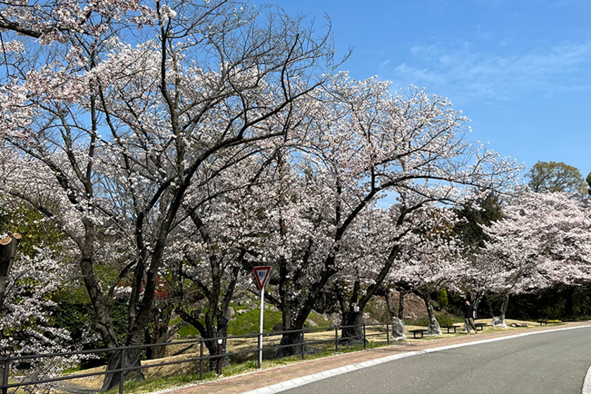 キャンパスライフPhoto