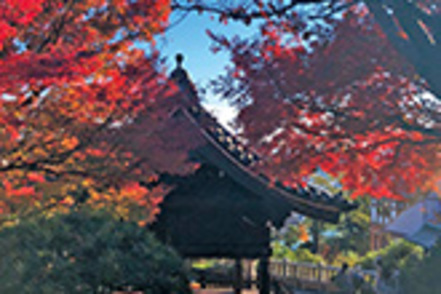 神戸女子大学 <日本語日本文学科>神戸を舞台とした古典芸能の世界を目で見て感じる「文学散歩」が魅力